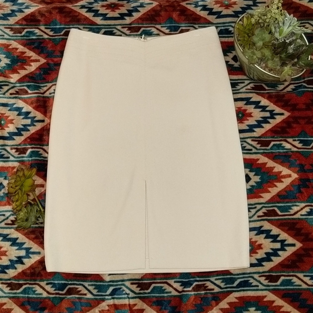The Limited Stretch Skirt